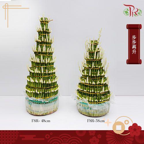 步步高升- F8R- 38cm-Pudu Ria Florist-prflorist.com.my