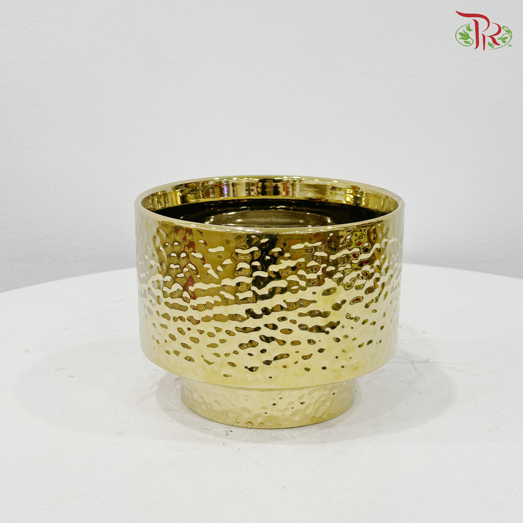 TX-WD10233C Gold Pot