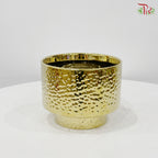 TX-WD10233C Gold Pot