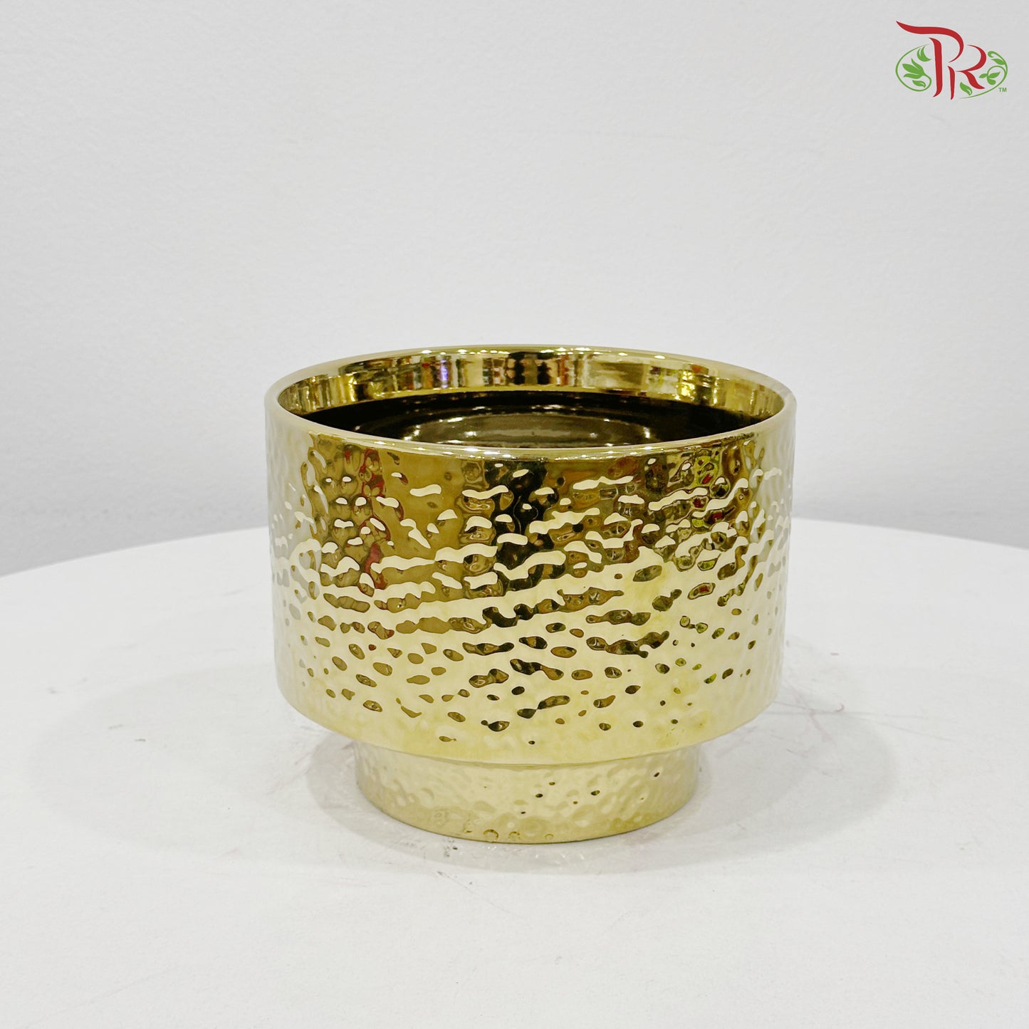 TX-WD10233C Gold Pot (With Size Option)