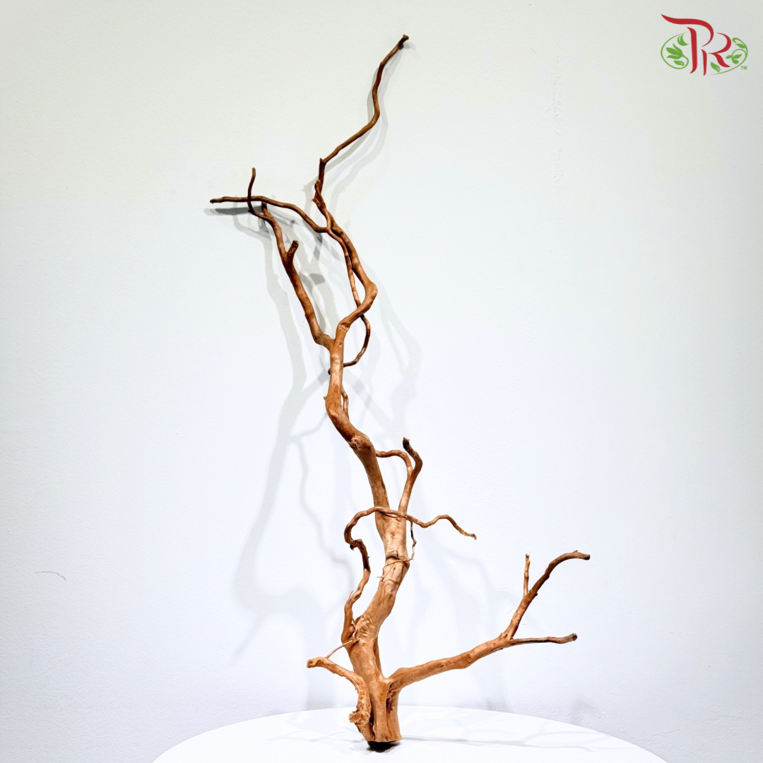 FINE STRIP DUJUANGEN ROOT《精品条形杜鹃根》1KG
