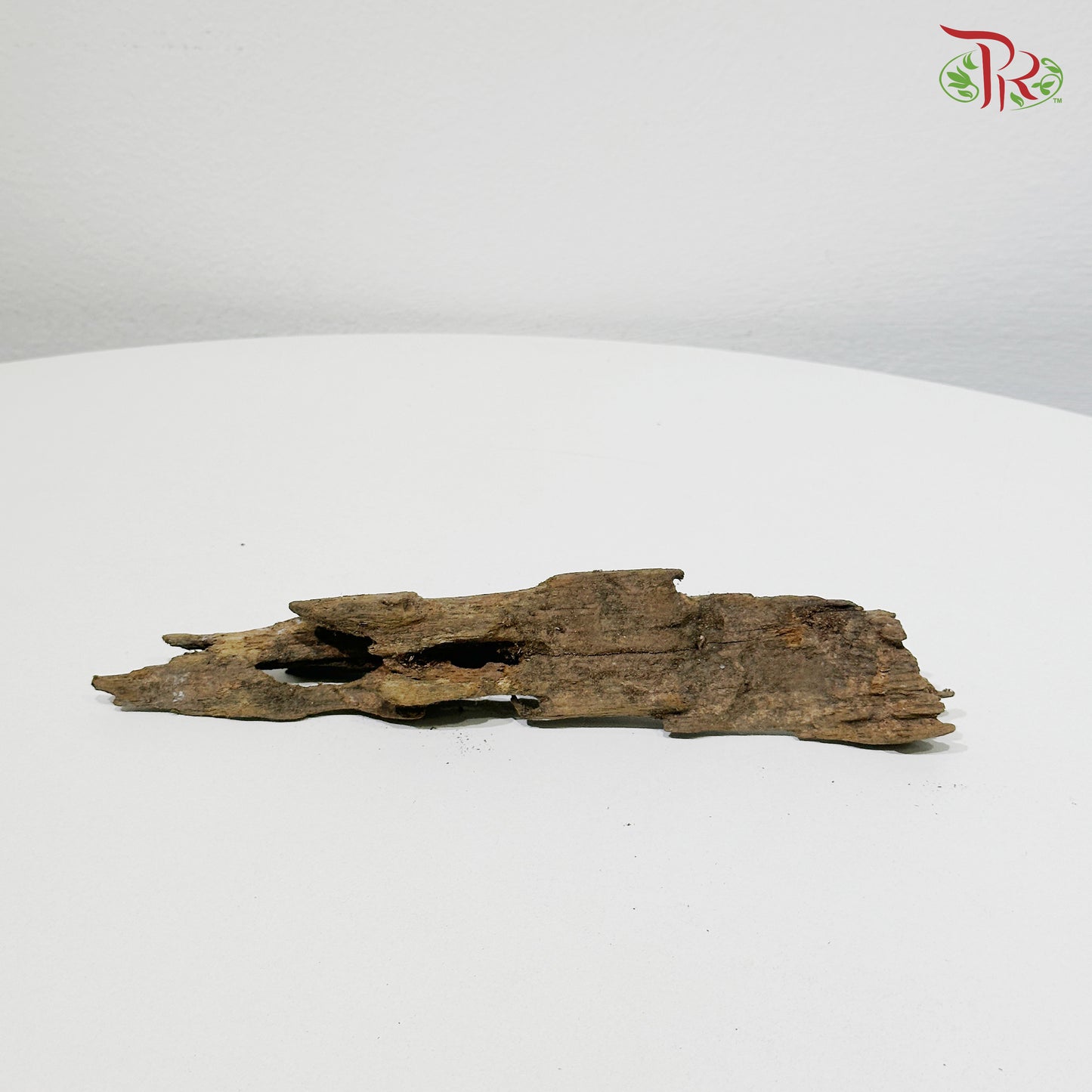 Honeycomb Wood《蜂窝木》S Size - 1KG