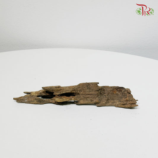 Honeycomb Wood《蜂窝木》S Size - 1KG