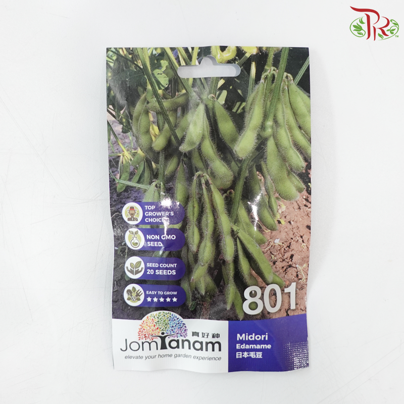 【Jom Tanam Seeds】Vegetable Series (Per Pack) (With Options)