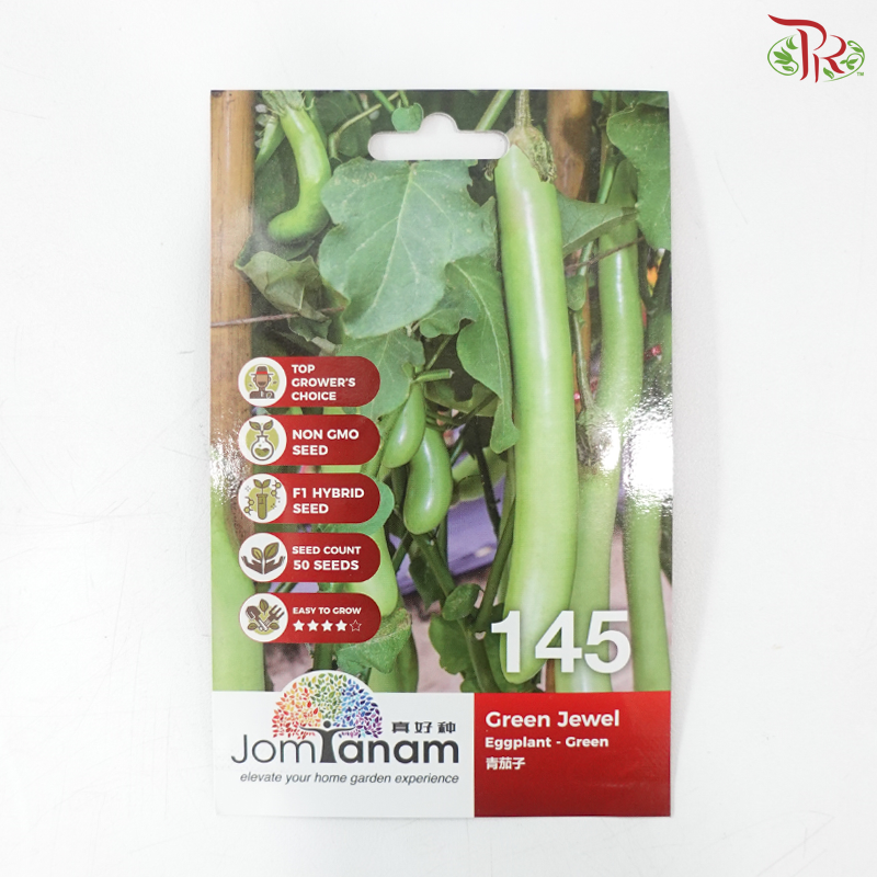【Jom Tanam Seeds】Fruity Vegetable Series - Eggplant (Per Pack) (With Options)