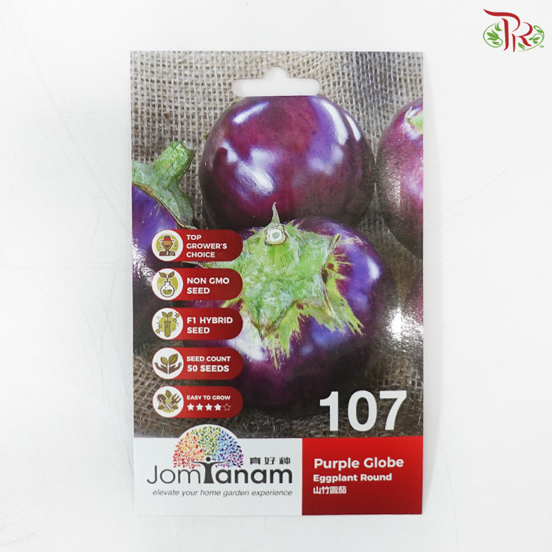 【Jom Tanam Seeds】Fruity Vegetable Series - Eggplant (Per Pack) (With Options)