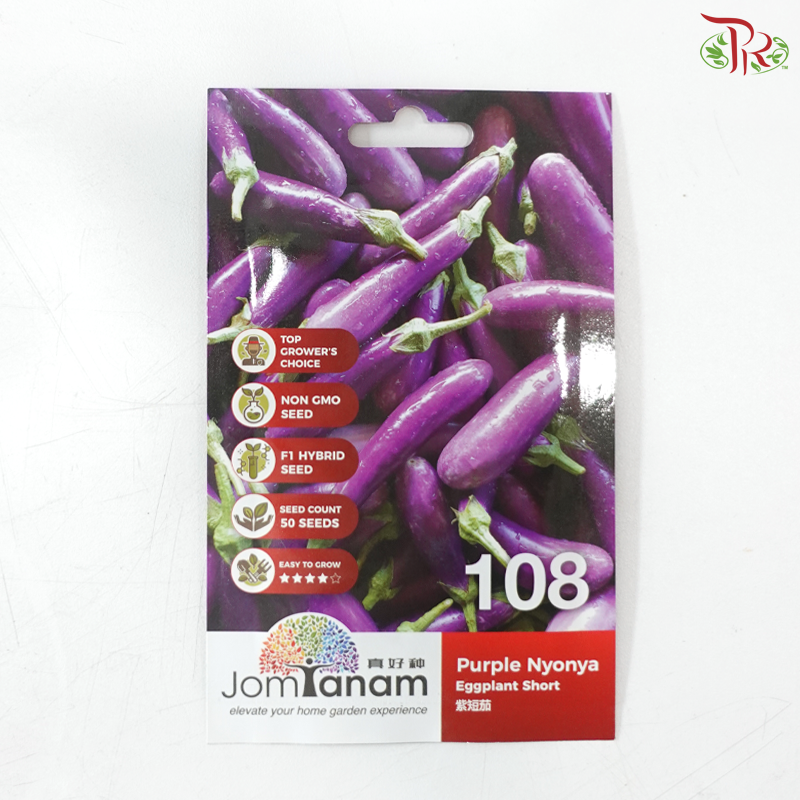 【Jom Tanam Seeds】Fruity Vegetable Series - Eggplant (Per Pack) (With Options)
