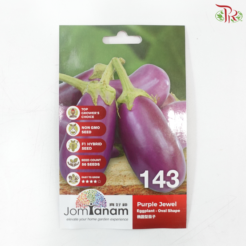 【Jom Tanam Seeds】Fruity Vegetable Series - Eggplant (Per Pack) (With Options)