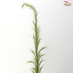 Eupatorium (5 Stems)