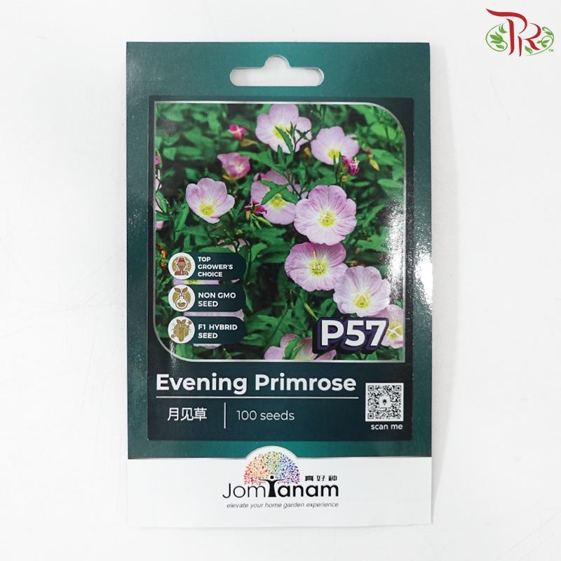 【Jom Tanam Series】Flower Series (Per Pack) (With Option)