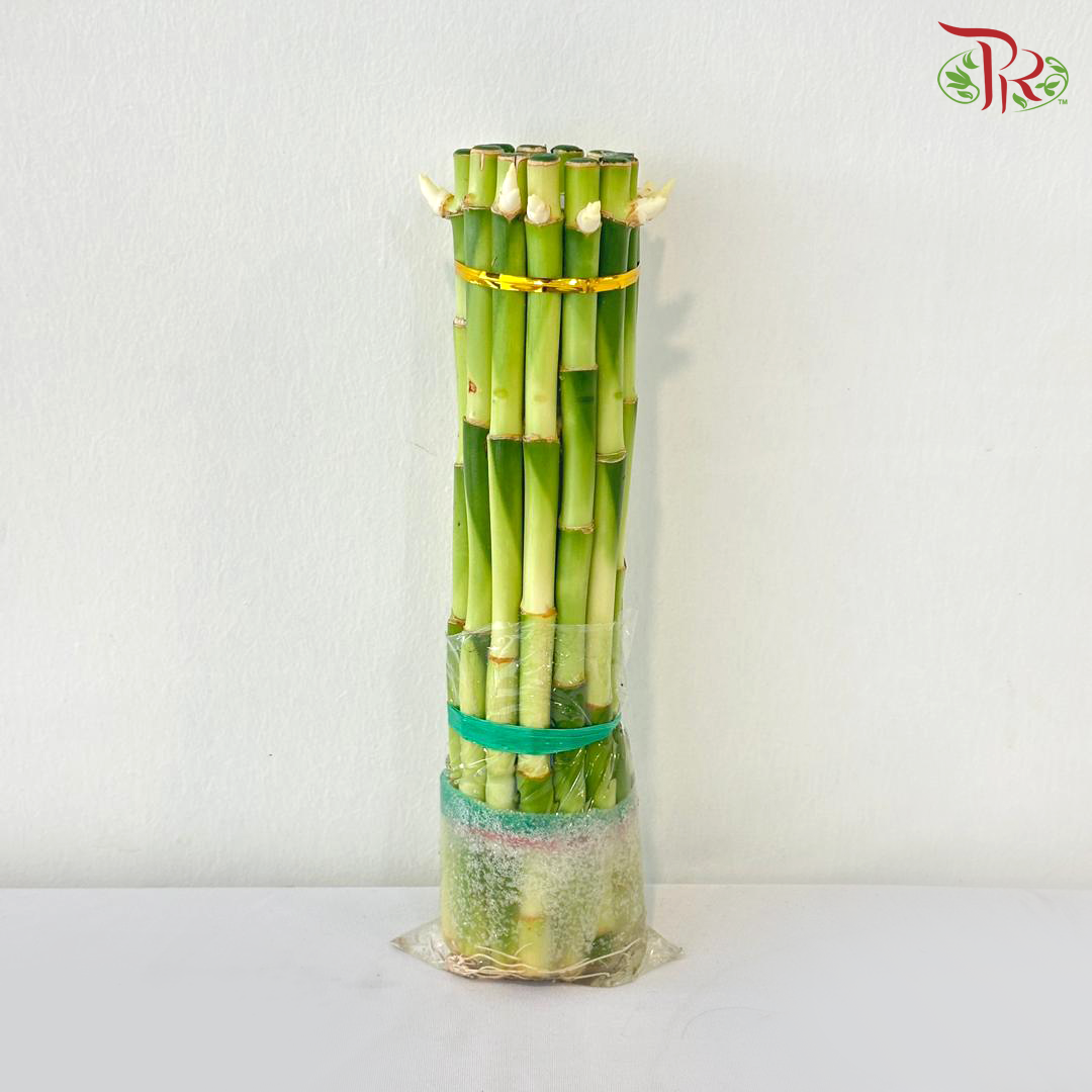 F1R Bamboo 单层竹 (With Size Option)