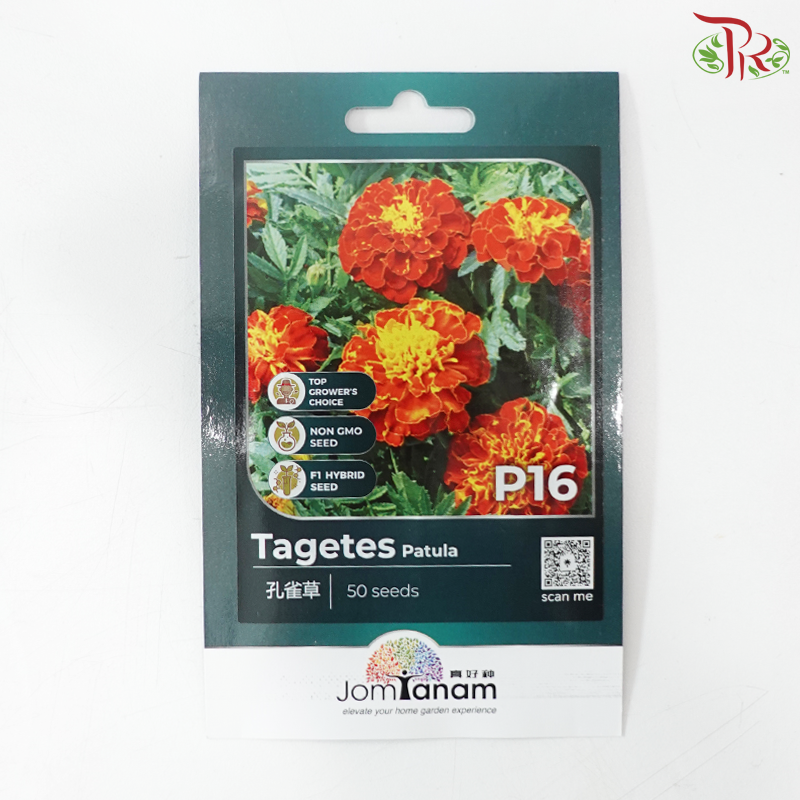 【Jom Tanam Series】Flower Series (Per Pack) (With Option)