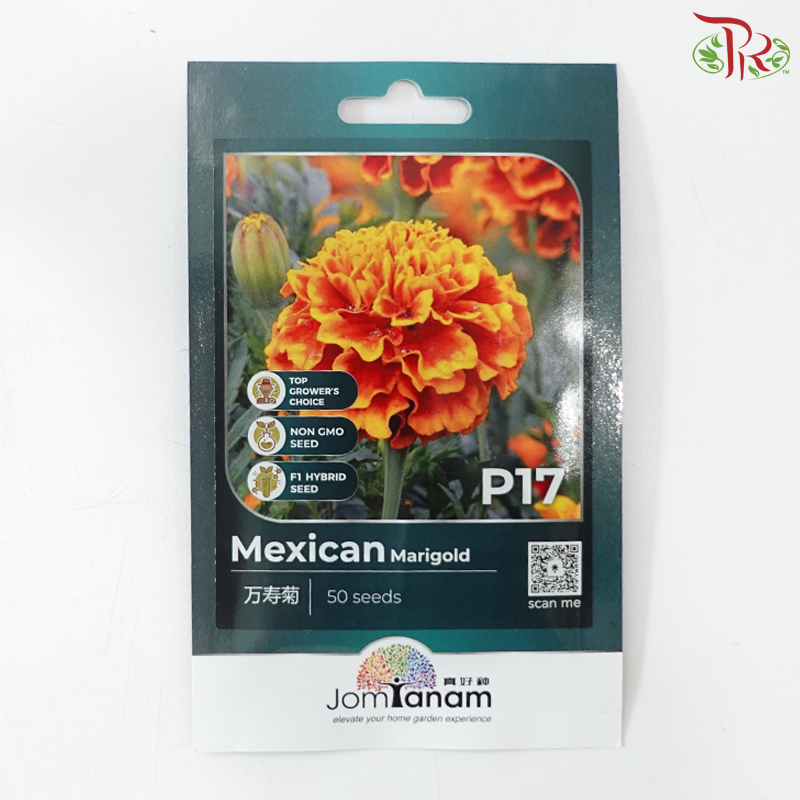 【Jom Tanam Series】Flower Series (Per Pack) (With Option)