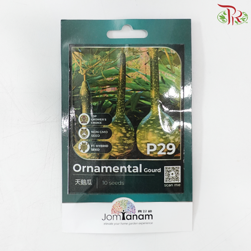 【Jom Tanam Series】Flower Series (Per Pack) (With Option)