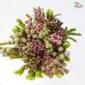 Safari Cape Cone Mix Bouquet - #33 (Per Bunch) (**Random Choose Cone / Fillers)