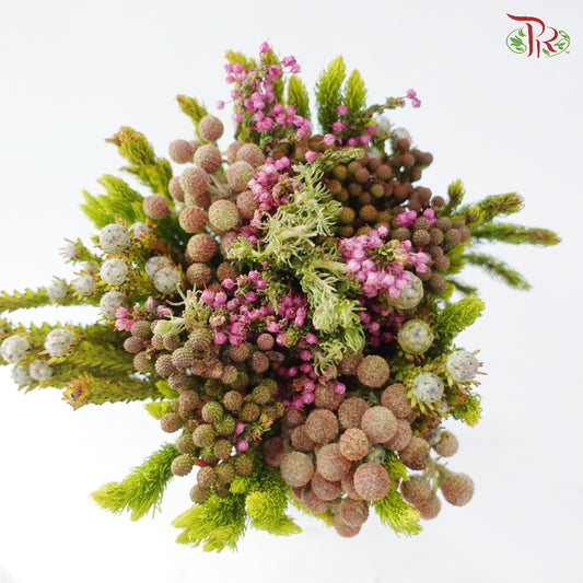 Safari Cape Cone Mix Bouquet - #33 (Per Bunch) **Random Choose Cone/Fillers