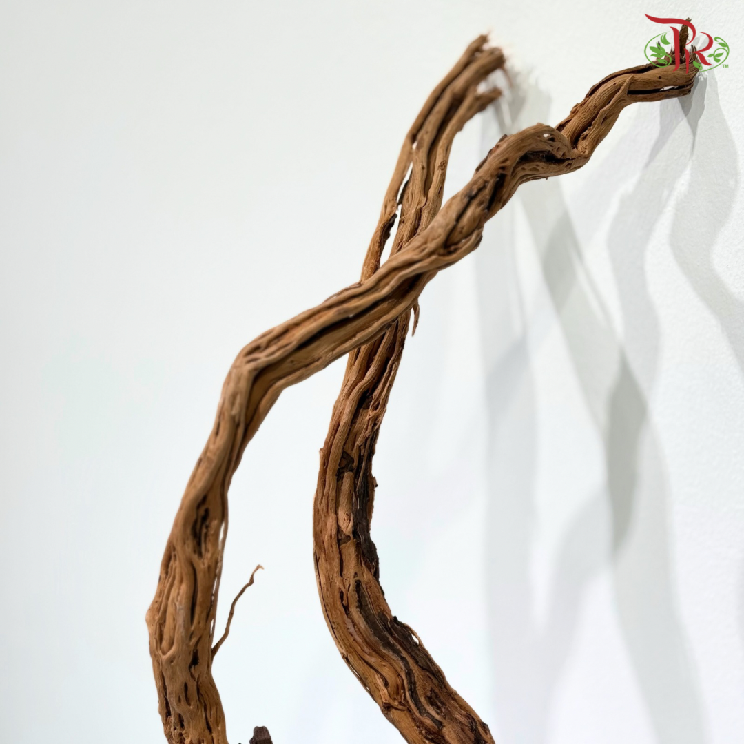 MA HUA TENG WOOD《麻花腾》1KG