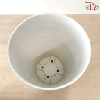 Felton Round Flower Pot (FBL-271-5) (With Color Options)