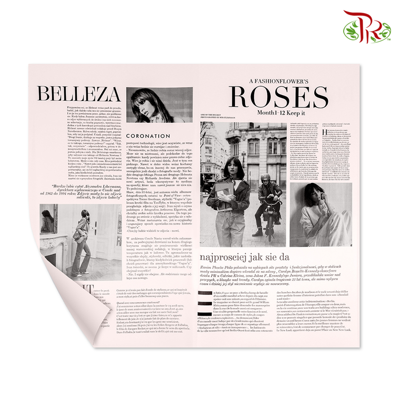 FPL089 Newspaper Wrapping Paper - Pudu Ria Florist