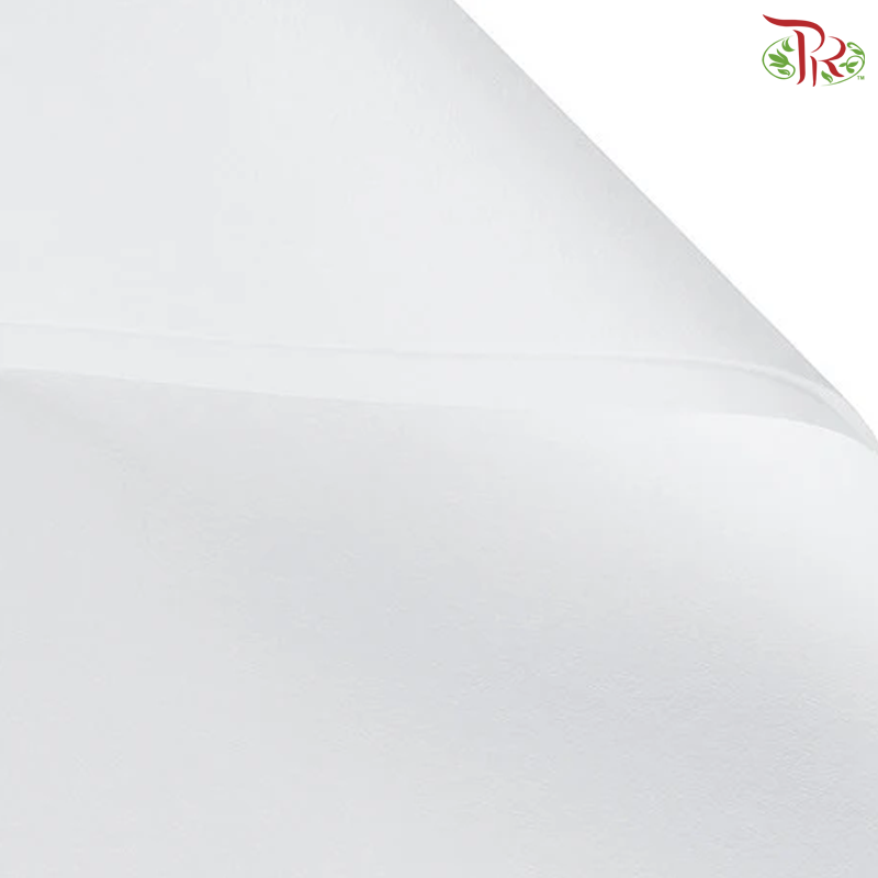 Wrapping Paper Eco Paris