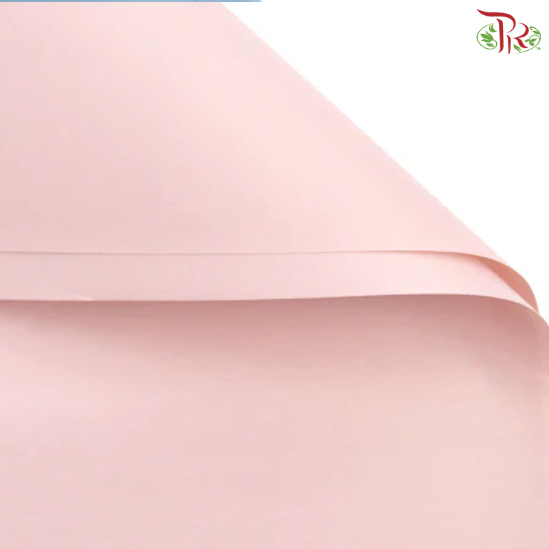 Wrapping Paper Eco Paris