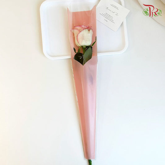 FPL111#2 - Single Stalk Flower Pack - Pink