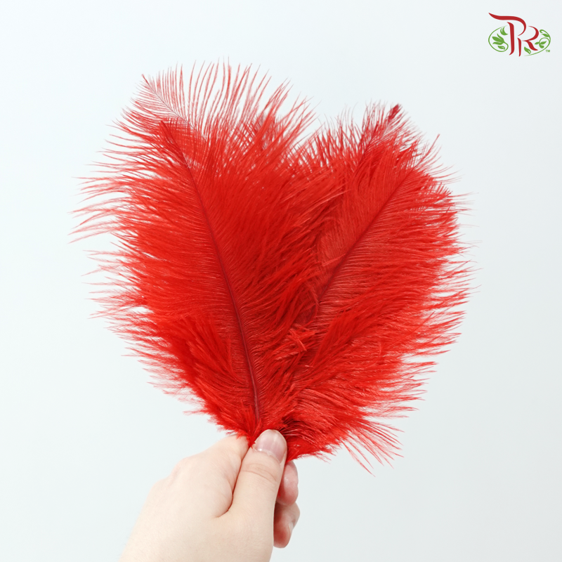 Ostrich Feather Preserved 15cm - Red (10 Stems)