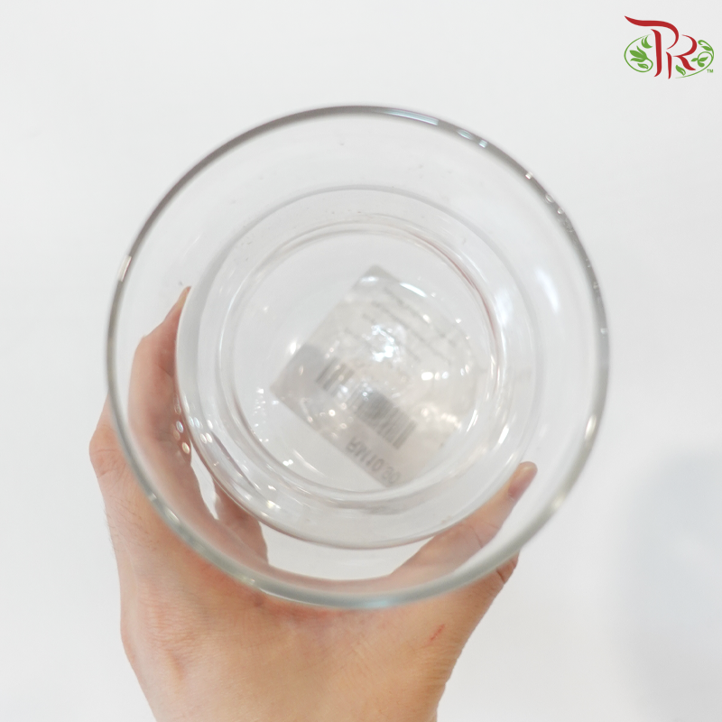 FH19113/48 Clear Vase