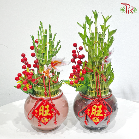【CNY 2026】Fortune & Abundance《福马有余》(With Pot Color Option)