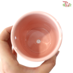 GF-8147 - Pink Pot