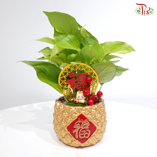 GF-C27 Lucky Plant Horse《"马内"COME》