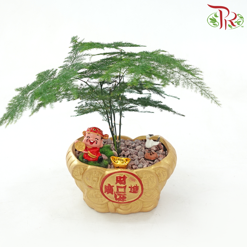 GF44 Rich God Asparagus (Random Choose Design & CNY Ornaments)