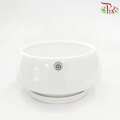 GF-825A-W - Asst Pot