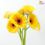 Gerbera - Double Tone Yellow With Inner Orange (9-10 Stems)
