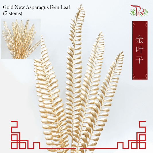 CNY Gold Leaf - New Asparagus Fern Leaf (5 Stems)