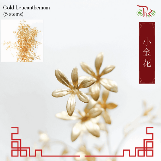 CNY Gold Leaf - Leucanthemum (5Stems)