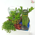Grand Opening / Housewarming Gift – Emerald Bamboo Luck《绿竹开运》(With Option)