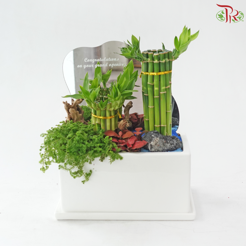 Grand Opening / Housewarming Gift – Emerald Bamboo Luck《绿竹开运》(With Option)