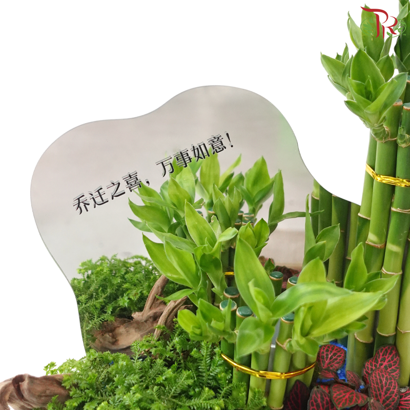 Grand Opening / Housewarming Gift – Emerald Bamboo Luck《绿竹开运》(With Option)