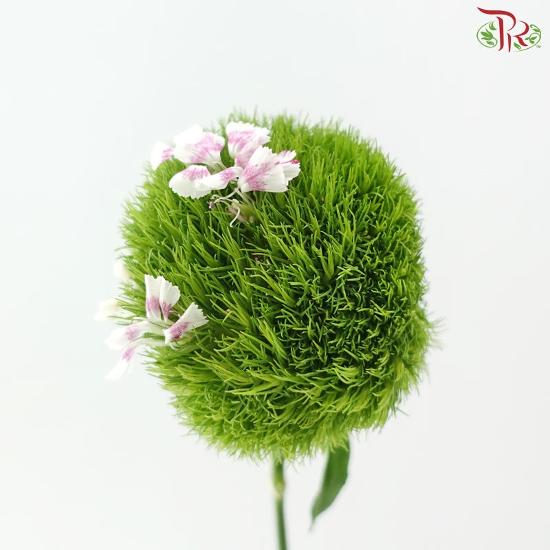 Green Tick - Per Bunch