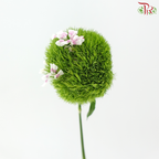 Green Tick - Per Bunch