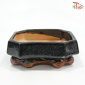 HC-J194-2 - Black Pot
