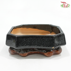 HC-J194-2 - Black Pot