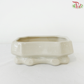 HC-J194-2 White Pot (No Hole)