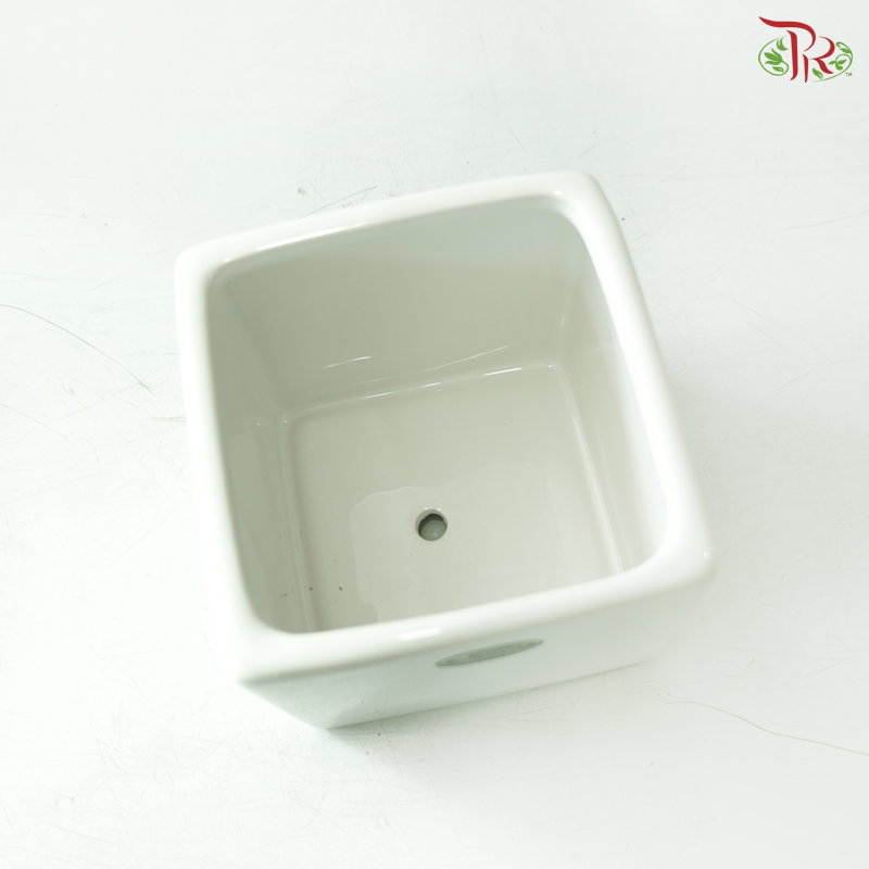 HCZ-120W Square White Pot
