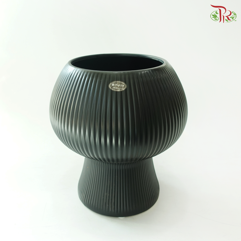 HZZ-548MB Black Pot