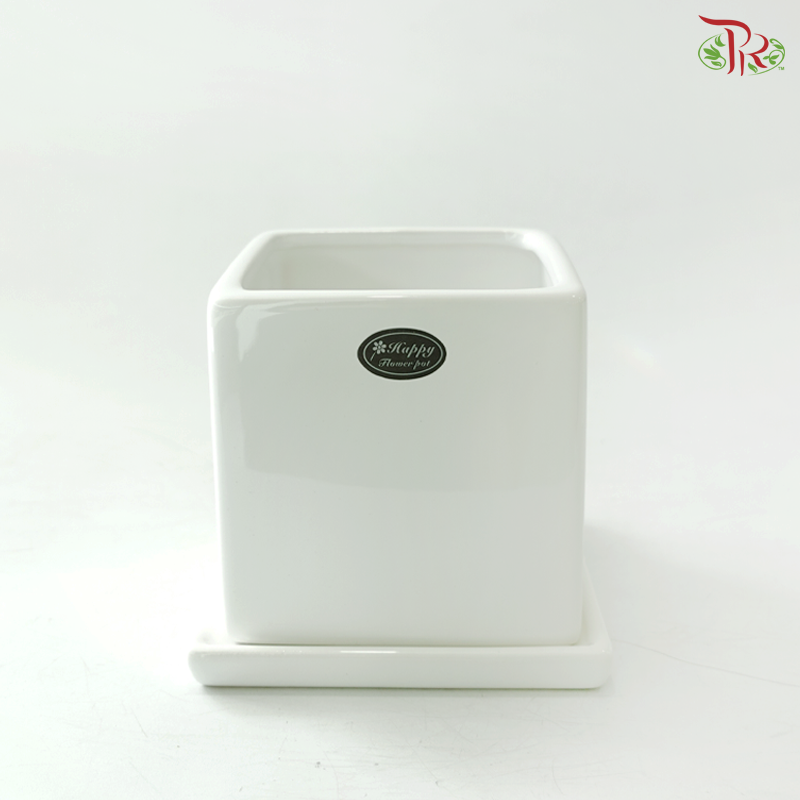 HCZ-164W Square White Pot