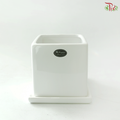 HCZ-164W Square White Pot
