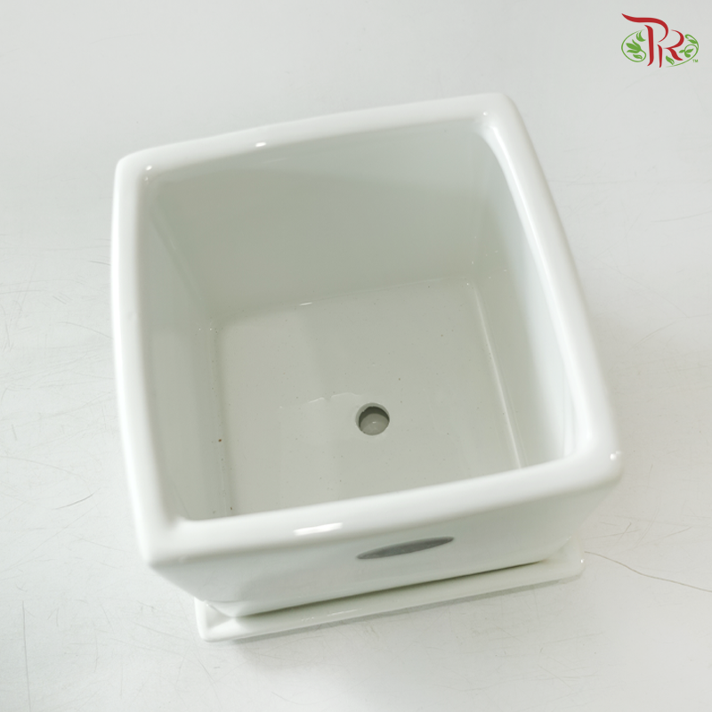 HCZ-164W Square White Pot