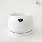 HS-015 White Pot
